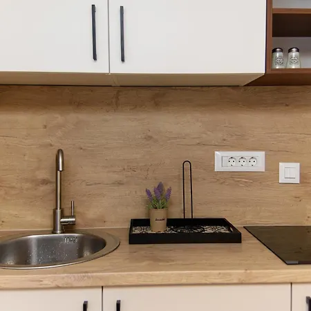 Daire Carmen Old Town Saraybosna