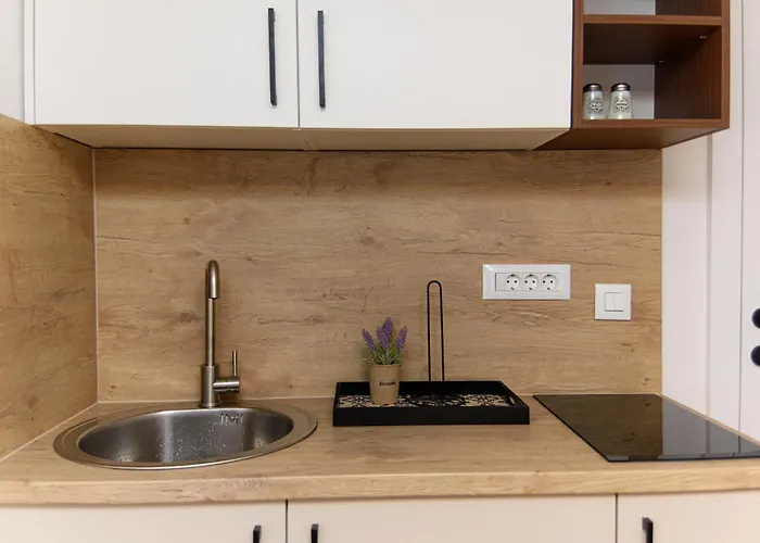 公寓 Carmen Old Town 塞拉耶佛