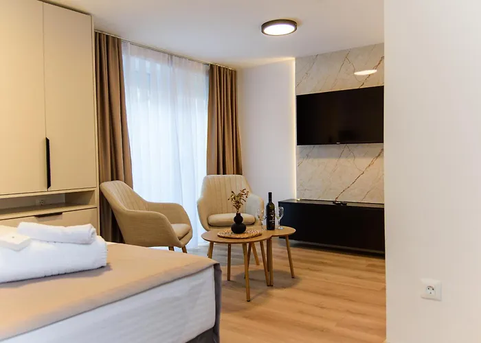 Carmen Old Town 公寓 塞拉耶佛