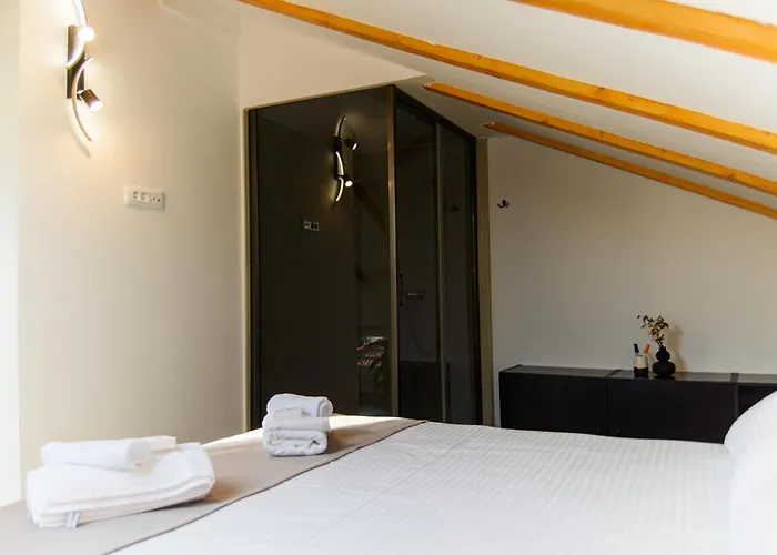 Carmen Old Town 公寓 塞拉耶佛