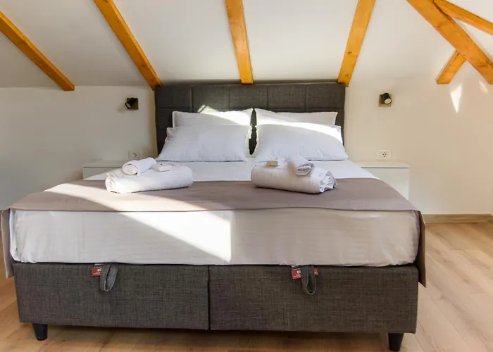 Carmen Old Town 公寓 塞拉耶佛